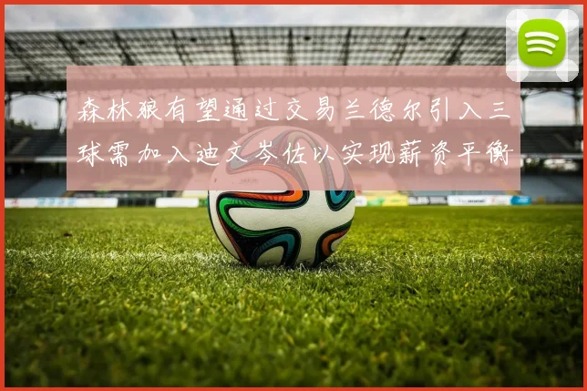森林狼有望通过交易兰德尔引入三球需加入迪文岑佐以实现薪资平衡