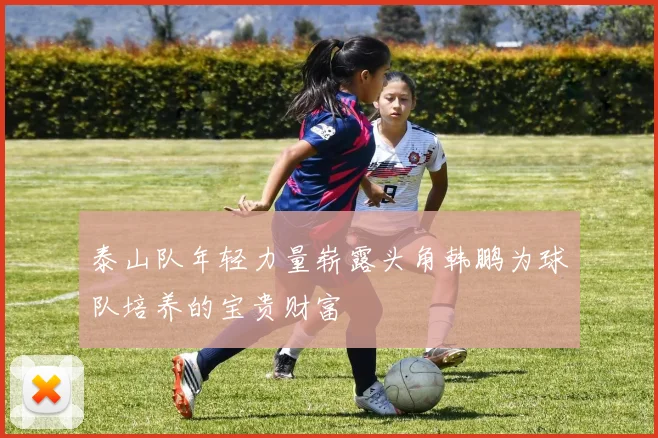泰山队年轻力量崭露头角韩鹏为球队培养的宝贵财富