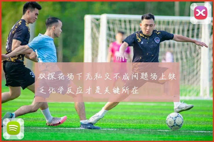 双探花场下无私交不成问题场上缺乏化学反应才是关键所在